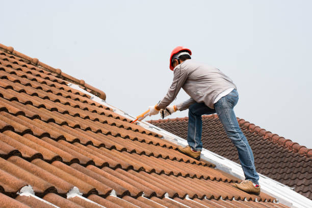 Best Roof Installation  in Agua Fria, NM
